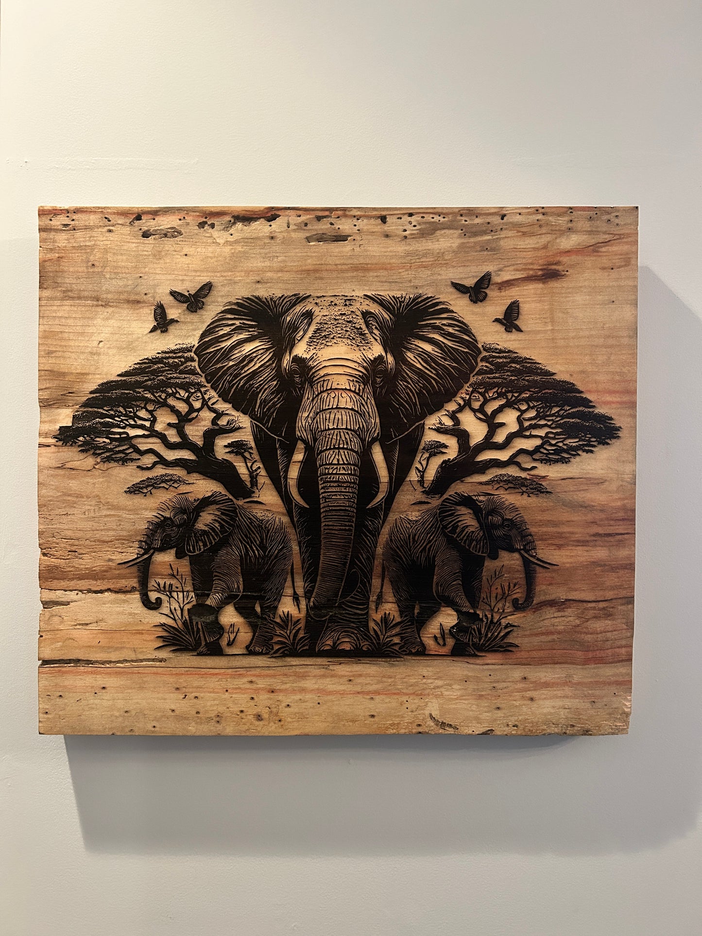 Elephant Engraved Firebox Elder Wood