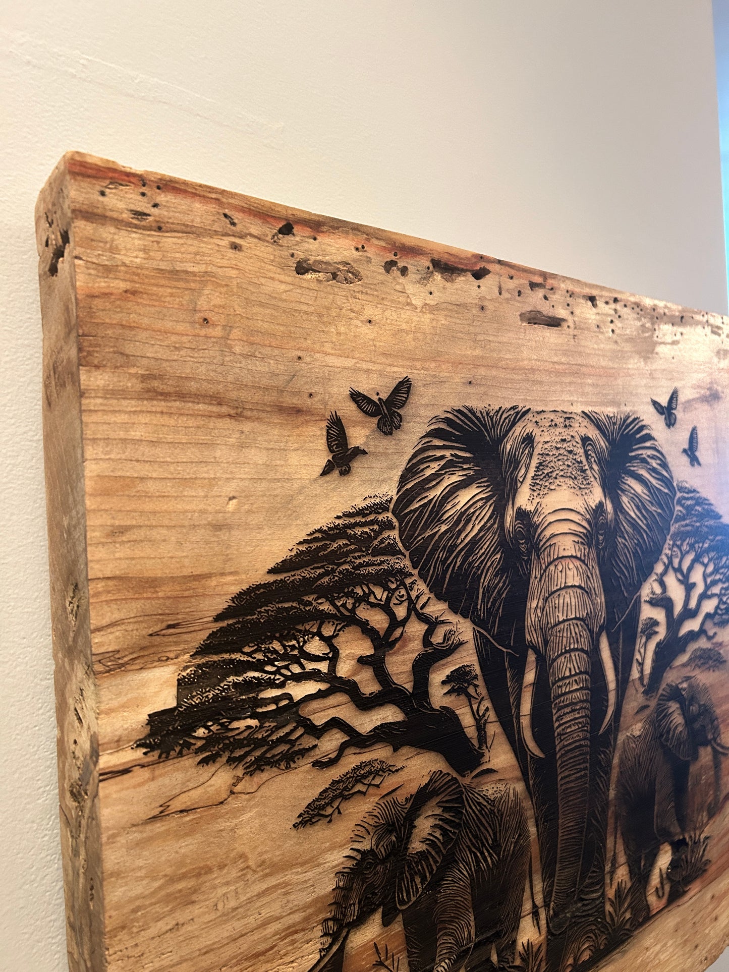 Elephant Engraved Firebox Elder Wood